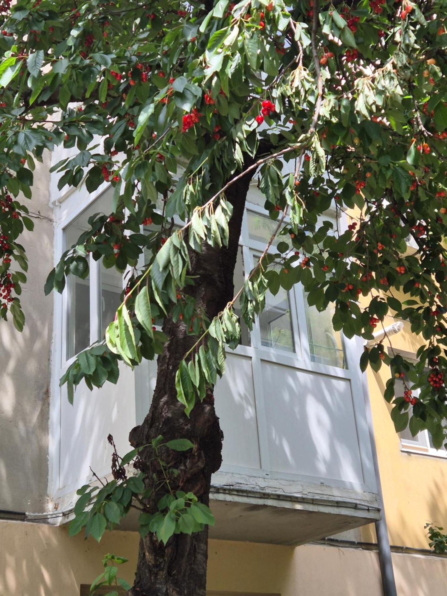 Apartament Rovine Craiova Luaran gambar